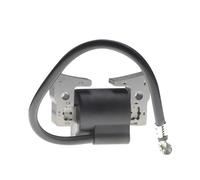 Bobina Accensione Bobina Accensione Per G16 G20 G21 G22 Per Benzina Per Golf Per Carrello OEM JN-85640-01-00 Ignition Coil