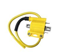 Bobina Accensione Bobina Accensione Per Iniezione Elettronica Carburante Per Per EFI Per Motociclette Ignition Coil