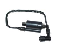 Bobina Accensione Bobina Accensione Per Suzuki AC100 AS50 GT185 GT250 GT380 GT500 GT550 GT750 T20 T125 T250 T250R T305 T350 T500 TC90 TC100 TC120 Ignition Coil