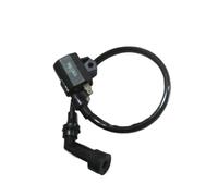 Bobina Accensione Bobina Di Accensione Elettrica Per Moto E Scooter AN125 Per Suzuki 125cc AN 125 Pezzi Di Ricambio Cablaggio Cablaggio Interruttore Di Spegnimento