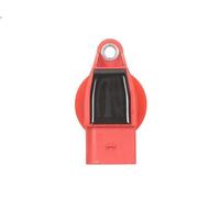 Bobina accensione BORGWARNER (BERU) ZSE 042 per CAYENNE (9PA) 4.5 2002-2006