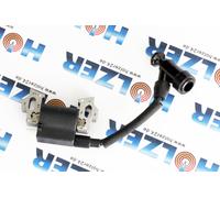Bobina Accensione Compatibile Con Hecht 746 R Per Rasaerba 9004
