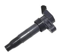 Bobina Accensione Compatibile Con Hyundai Per Santa Fe 2015 2016; Per Sonata L4-2.0l 2011 2012 2013 2014; 1 Pz Bobina Di Accensione Per Auto Bobine Di Accensione 273002G700 273003F100