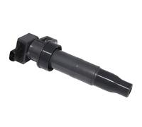 Bobina Accensione Compatibile Con Hyundai Per Sonata V6-3.3l 2006-2010 Per Veracruz V6-3.8l 2007-2012 1 Pz Bobina Di Accensione Per Auto Bobine Di Accensione Per Veicoli 273013C000
