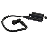 Bobina Accensione Completo 20811 per Yamaha XV 125 XVS 250 XT 600 E XTZ 660 MT03