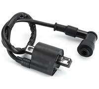 Bobina Accensione con pipetta Compatibile per Kymco Filly LX 50 4T