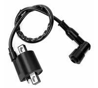 Bobina Accensione del Motore Ignition Coil Sostituzione Bobina Accensione Moto 2 pin 110cc 125cc per Quad Pocket Dirt Bike ATV Go kart Scooter Minimoto