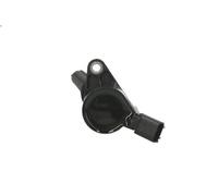 Bobina accensione DELPHI GN10164-11B1 per FORD USA F-150 4.6 1998-2003