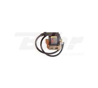 Bobina accensione DZE 4036 HONDA CRF 70 F (DE02) 2004-2011