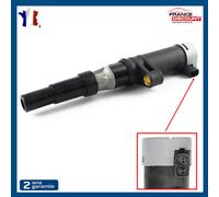 Bobina Accensione Pinze Logan Primastar Vivaro Clio 1.6 1.8 16V 2.0 16S
