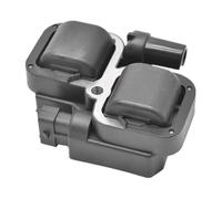 Bobina Accensione Esterna 2876049 4010425 Per Polaris Per Ranger RZR 800 900 1000 XP EFI 2005-2020 Bobina Accensione Sostituzione