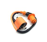 Bobina Accensione Ignition Coil Bobina Accensione Per 50cc Per 125cc Per 150cc Per 200cc D8TC Bobina Alta Pressione ATV Quad Dirt Pit Bike Moto