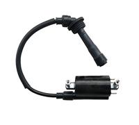 Bobina Accensione Ignition Coil Bobina Accensione Per Motocicletta Per Benelli Per BJ250-15 Per BJ250-15A Per BN251 Per BN250 TNT25 TNT250 Gruppo Bobina Filo Spina