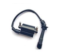 Bobina Accensione Ignition Coil Bobina Accensione Per Motocicletta Per Benelli Per TNT250 Per TNT25 Per BN251 Per TRK251