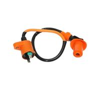 Bobina Accensione Ignition Coil Bobina Accensione Raddrizzatore Accensione Scatola CDI A 6 Pin Per GY6 Per 50Cc 125Cc Per Ciclomotori Per Scooter Per ATV Per Go-kart(Ignition coils)