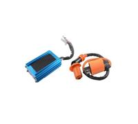 Bobina Accensione Ignition Coil Scatola Accensione CDI 5 Pin Per JOG Per Scooter Per Ciclomotore Per 2 Tempi Per JOG Per 50cc Per 90cc Per Quad 1PE40QMB(A)