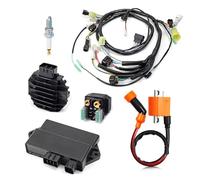 Bobina Accensione Ignition Kit Ricostruzione Cablaggio Cablaggio Della Bobina Accensione Regolatore Per Raptor 350 Per YFM350R 2004-2013 5YT-82590/85540-00-00