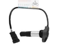 Bobina Accensione Integrata Beru Originale Aprilia Shiver 750 165520