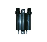 BOBINA ACCENSIONE KAWASAKI W (EJ650A E4 0010) 650 1999 2007