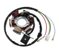 Bobina Accensione Kit Bobina A 6 Poli Volano Magnete Statore Ricambi Per Motociclette Da 50 Cc 70 Cc 90 Cc 110 Cc E 125 Cc Kit Accensione Motocicletta(B)