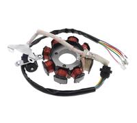 Bobina Accensione Kit Bobina A 8 Poli Accensione CA Magnete Statore Motociclette Motore 150-250 Cc Parti Di Ricambio Per Motociclette Kit Accensione Motocicletta