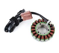 Bobina Accensione Kit Per 400 Per 492 Per 500 Per Light 2003 2004 2005 2006 2007 2008 Bobina Statore Magnete Moto 58080R AP8560100 Kit Accensione Motocicletta