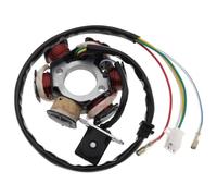 Bobina Accensione Kit Per 50 Cc 70 Cc 90 Cc 110 Cc 125 Cc 1 Pz 6 Bobine Poli Magnete Volano Statore Parti Di Ricambio Per Moto Kit Accensione Motocicletta(B)