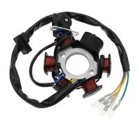 Bobina Accensione Kit Per 50 Cc 70 Cc 90 Cc 110 Cc 125 Cc 1 Pz 6 Bobine Poli Magnete Volano Statore Parti Di Ricambio Per Moto Kit Accensione Motocicletta(A)