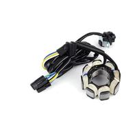 Bobina Accensione Kit Per CRF250 Per CRF250X Per CRF 250 250X 2004-2015 2016 2017 2018 2019 Statore Bobina Regolatore Raddrizzatore Con Guarnizione Kit Accensione Motocicletta(C)