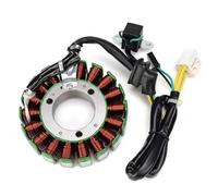 Bobina Accensione Kit Per GW250 Per Inazuma Per Magneto Per DL250 Per GSXR250 32101-48H00-000 Bobina Statore Magnete Generatore Moto Kit Accensione Motocicletta