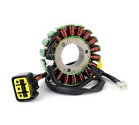 Bobina Accensione Kit Per MX300 Per MX250 Per EN300 Per EN250 Per MX Per EN 300 250 Per 4Temps Bobina Statore Per Motocicletta 2012-2020 Kit Accensione Motocicletta