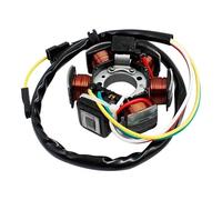 Bobina Accensione Kit Per RK Per RR 50 Motociclo Generatore Statore Bobina Gruppo Accessori Parti Di Ricambio Materiale Durevole Kit Accensione Motocicletta