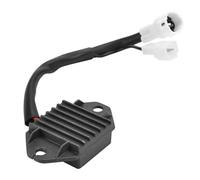 Bobina Accensione Kit Per WR250 Per WR250F 5UM-81410-00 5UM-81410-09 5UM-81410-10 81410-20 Guarnizione Raddrizzatore Regolatore Bobina Statore Moto Generatore Statore Kit(D)