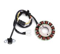 Bobina Accensione Kit Per WR250 Per WR250F 5UM-81410-00 5UM-81410-09 5UM-81410-10 81410-20 Guarnizione Raddrizzatore Regolatore Bobina Statore Moto Kit Accensione Motocicletta(C)
