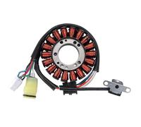 Bobina Accensione Kit Per YFM250 Per YFM25B Per YFM250X 1P0-H1410-00 4XE-81410-00 5LP-81410-00 5LP-81410-01 5LP-81410-02 Bobina Statore Motocicletta Kit Accensione Motocicletta