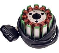 Bobina Accensione Kit Per YZF R1 Per FZ1 Per FZ8 Per FZ8-N Per Fazer 800 2011-2013 Set Bobina Statore Magnete 2D1-81410-01-00 5VY-81450-00-00 Kit Accensione Motocicletta