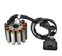 Bobina Accensione Kit Per YZF R1 Per RaceBase Per FZ8 Per FZ8 Per Naked 12 Bobina Statore Regolatore Di Tensione Raddrizzatore Con Guarnizione Volano Kit Accensione Motocicletta(A)