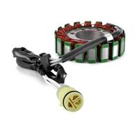 Bobina Accensione Kit Per ZR750 Per Z750 Per Z750S Per ZR1000 Per Z1000 Motore Motocicletta Statore Bobina Regolatore Tensione Raddrizzatore Con Guarnizione Kit Accensione Motocicletta(C)