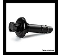 Bobina Accensione Matita per Sea - Doo RXT 255 Da 2009 Nuovo