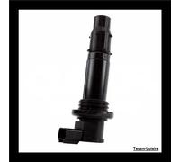 Bobina Accensione Matita per Yamaha Wr 250 R Di 2008 2009 2010 2011 2016 Nuovo
