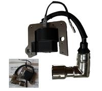 Bobina accensione montaggio preciso compatibile con vari