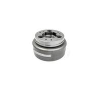 Bobina Accensione Moto Kit Completo Cablaggio Elettrico Accensione Per HJ250H Cablaggio Bobina Kit Accensione Per Motocicletta Per HENGJIAN 2 Tempi 250 Sostituzione Spark Coil(Magnetic Steel Rotor)