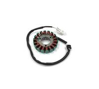 Bobina Accensione Moto Kit Completo Cablaggio Elettrico Accensione Per HJ250H Cablaggio Bobina Kit Accensione Per Motocicletta Per HENGJIAN 2 Tempi 250 Sostituzione Spark Coil(Magneto Coil)