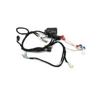 Bobina Accensione Moto Kit Completo Cablaggio Elettrico Accensione Per HJ250H Cablaggio Bobina Kit Accensione Per Motocicletta Per HENGJIAN 2 Tempi 250 Sostituzione Spark Coil(Harness)