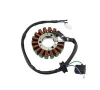 Bobina Accensione Moto Moto Generatore Statore Bobina Accensione 32101-05G00 Per Suzuki Per LTF250 Per Ozark 250 Per LTZ250 Per Quadsport Z250