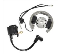 Bobina Accensione Moto Per 50 SX 50Cc Pro Per Senior Per Junior SR JR SX50 Avventura-Statore Rotore Magneto Volano Bobina Di Accensione Kit Di Montaggio