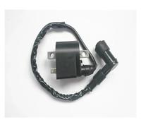 Bobina Accensione Moto Per Suzuki Moytorcycle Bobina Accensione LT50 2x4 Quadrunner 50 1984-1987 Per Zundspule 50cc Per Mini ATV Quad Bobina ATV Parti Bobina Accensione