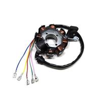 Bobina accensione motocicletta Per Bashan Per Shineray Per Taotao Dirt Pit Bike Bobina A 4 8 11 12 18 Poli Accensione A 5 6 125 CC 150 200 250 CG Magneto Statore Dispositivo accensione(8 Pole)