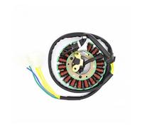 Bobina accensione motocicletta Per Suzuki Per GS125 Per GN125 Per GS GN 125 125cc Magneto Statore Bobina Generatore Ricambi Moto 5 Fili 18 Poli Accessori Dispositivo accensione