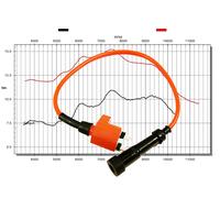 Bobina Accensione per Beeline Bestia 3.3 / Online S3.2 S3.5 X3.2/A 300 Tuning